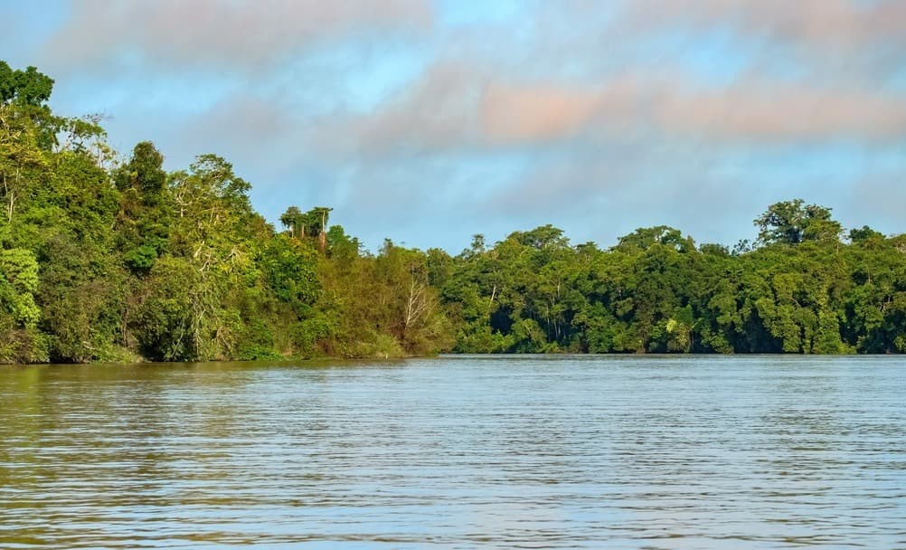 Kinabatangan-Fluss