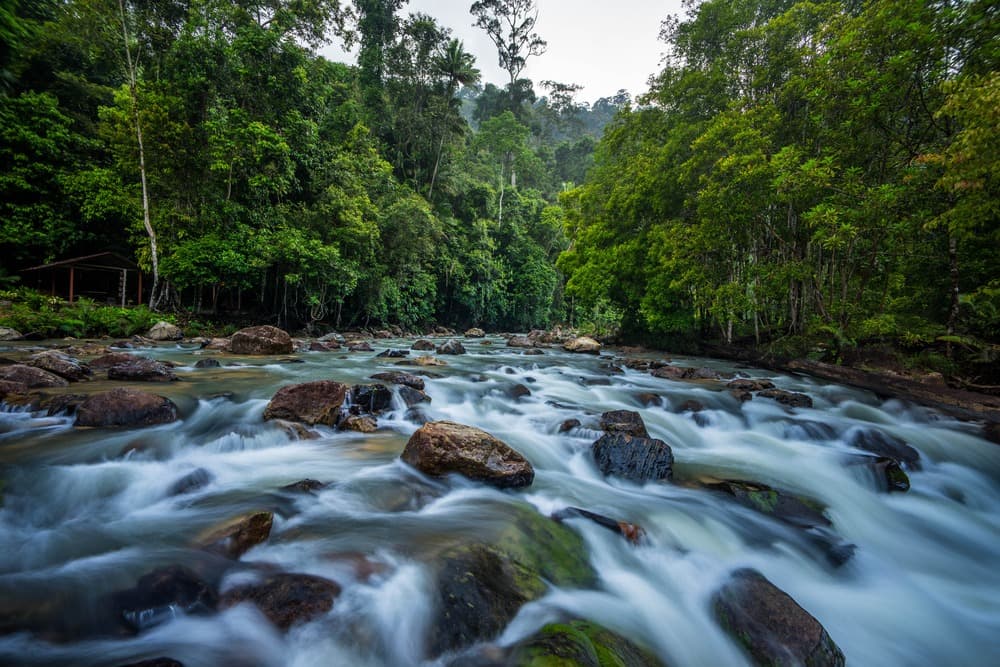 Endau-Rompin Nationalpark