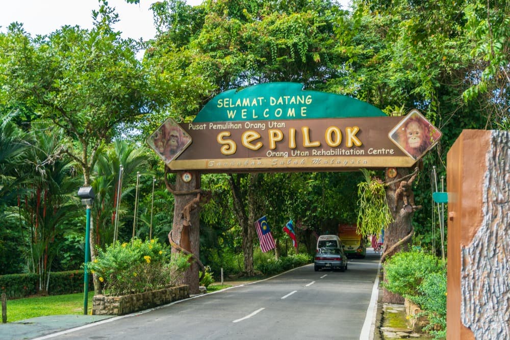 shutterstock 1514393822 sepilok